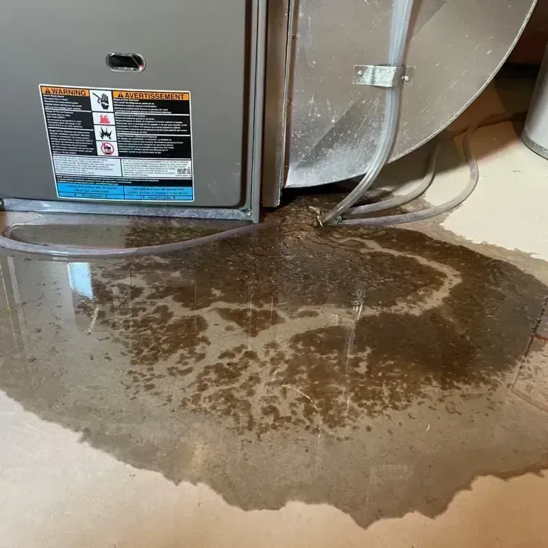 Appliance Leak Cleanup in Dent County, MO